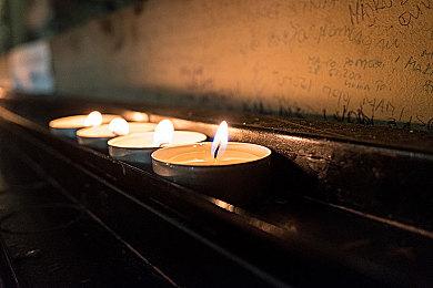 猫奴模拟器《喵次郎》登陆Steam 温馨养猫物语